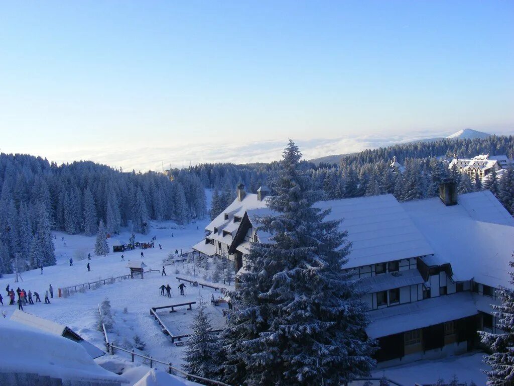 Viceroy kopaonik. Сербия гора копаоник. Копаоник сербия сноуборд. Горнолыжка сербия копаоник. Копаоник.
