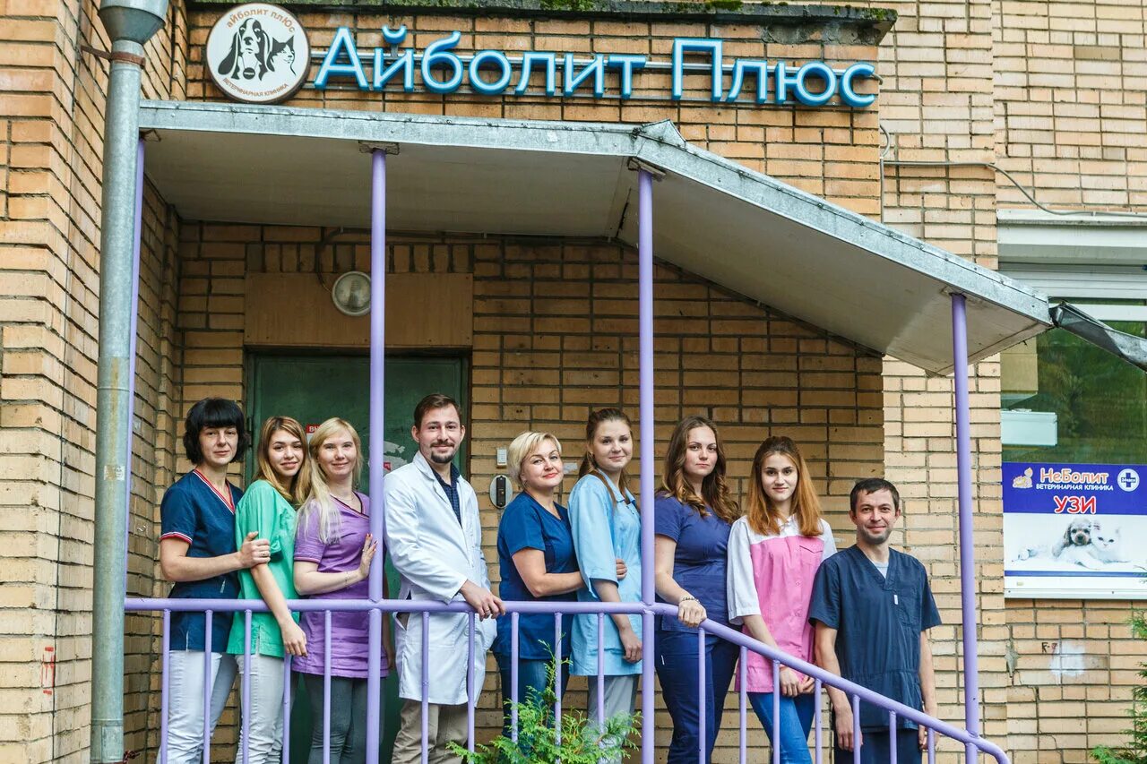 айболит митино. ветклиника айболит липецк. айболит ветеринарная клиника. айболит красногорск ветклиника. айболит митино.