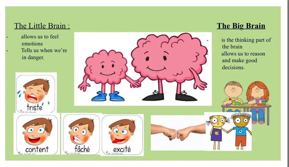 Желтая книга про мозг. Биг Брейн. Розовая книга про мозг. Lil Brain. Little brain