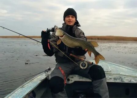 Когда ловить щуку в краснодарском крае