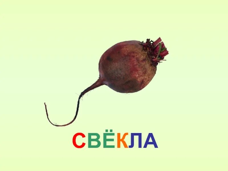 Варианты слова свекла. Свекла перец. Надпись свекла. Свекла и лук. Картофель лук редис свекла морковь.