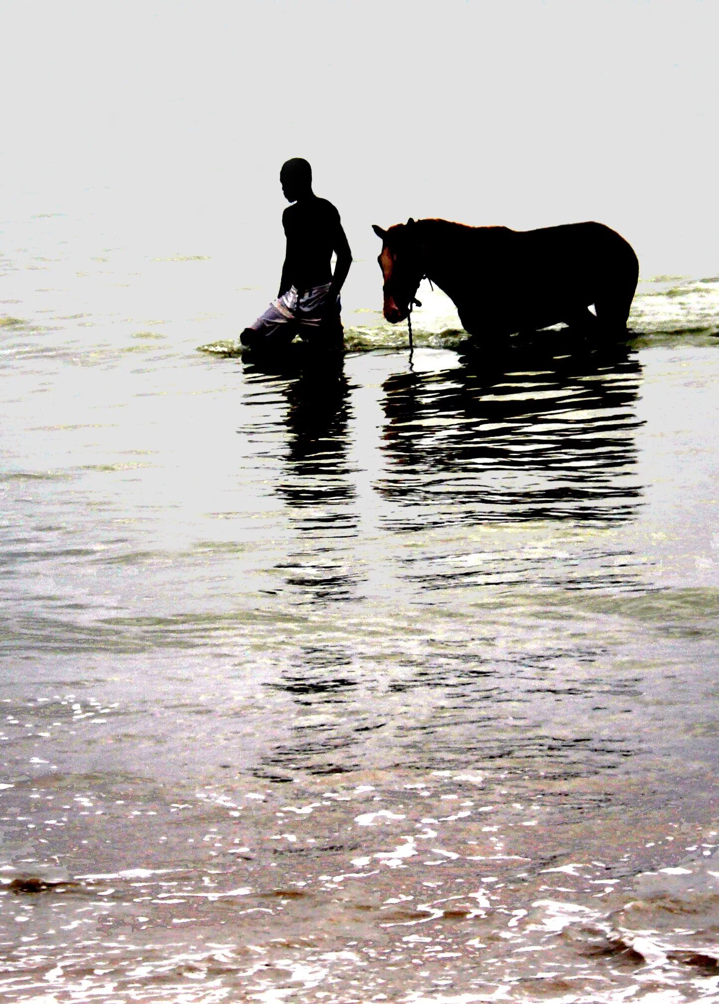 Взаимоотношения лошади и человека. Размышления о лошади. Отношение к лошадям. Отношения человека и лошади. Фотосессия с лошадьми фото на берегу реки.