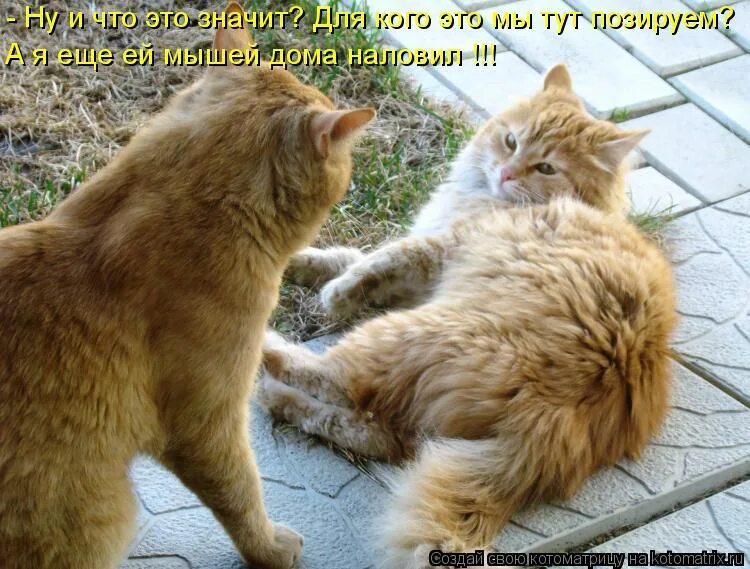 Лежачего не бьют значение. Работа не бей лежачего что значит. Пословица лежачего не бьют. Погладь меня. Лежачего не бьют значение.