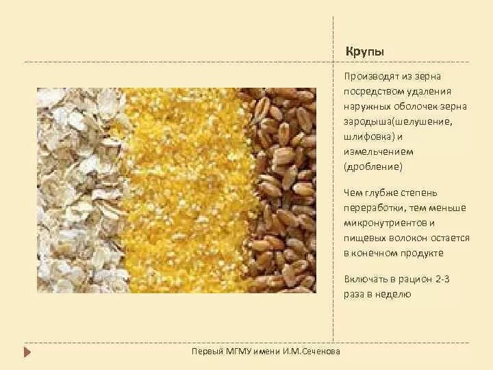 Маш из какой крупы. Дробленные крупы. из зерен и плодов каких растений изготавливают крупы. зерновая оболочка бобовых ,очистка и шелушение. рис шлифованный или шелушеный разница.