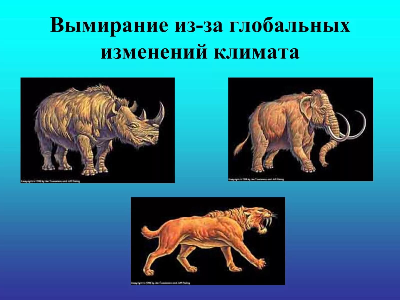 Виды регресса животных. Животные в регрессе. причины вымирания животных. вымирание животных картинки. глобальное вымирание.