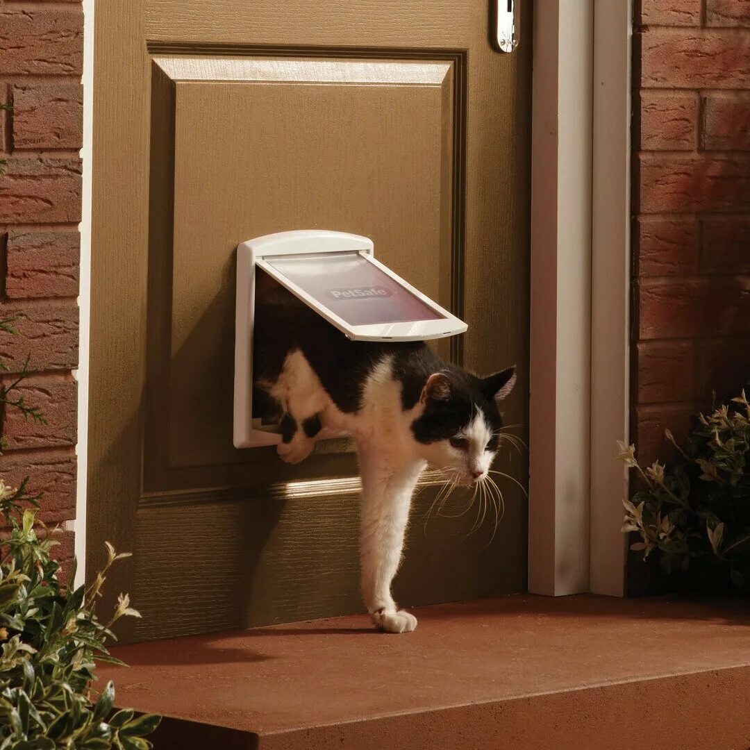Выход кошечки. Дверь для кошки. Дверцы для котов. Дверца для кошек. Дверь для кота в туалет.