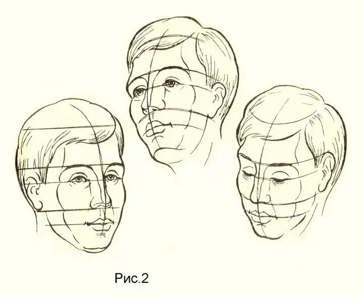 Пропорции лица человека для рисования сбоку. Пропорции лица человека в профиль. Рисование головы. Изображение головы в пространстве. Голова человека в пространстве.