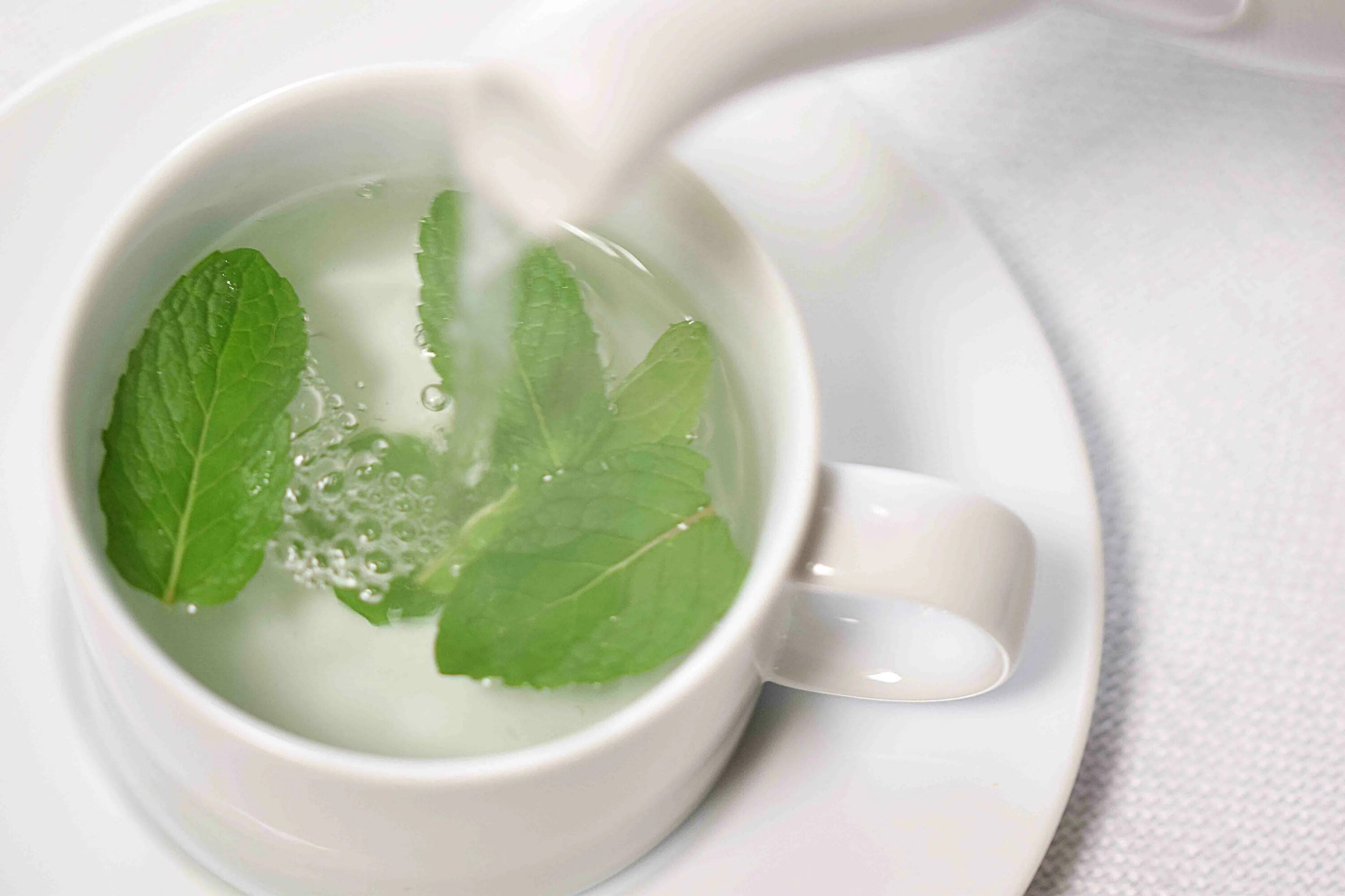 Чай мята 3. Теа минт. Мята в магии. Мята подача. Green Tea with Mint.