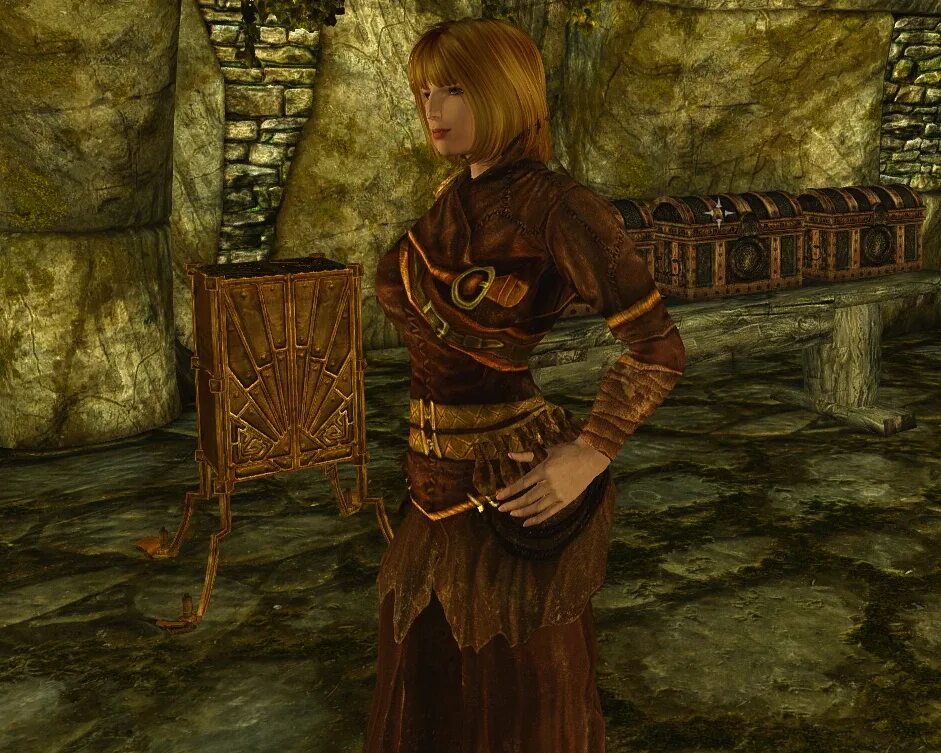 Skyrim мод менеджер. Скайрим мод vanilla. Skyrim vanilla. Ванильный скайрим. Броня [unp] [dem] скайрим.