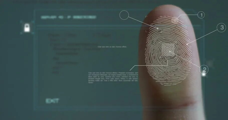 Сколько держится отпечаток. Оптический сканер отпечатков пальцев fs81h. Оптический сканер отпечатка пальца JM - 101b. Pad 6000m отпечатка пальца. Отпечаток пальца биометрия.