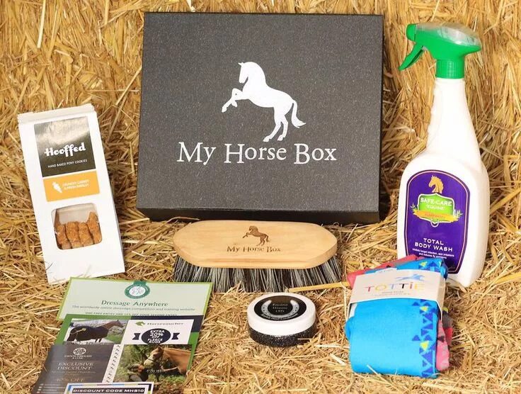 Wildkin. Bright horse коробка. Horse box. Лошадь в подарок. Horses box.