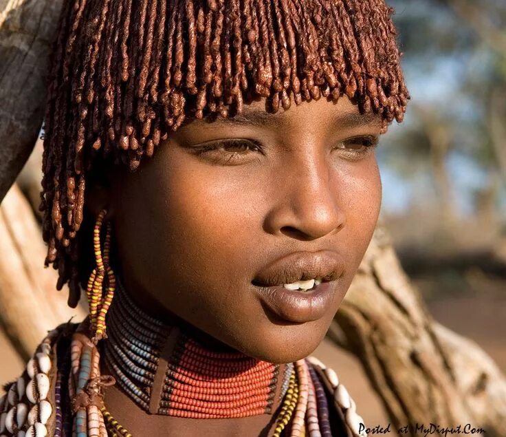 Племя. Племя Хамер Эфиопия. Эфиопская девушка из племени Хамер. Племя Хамер Эфиопия женщины. Африканское племя Хамер.