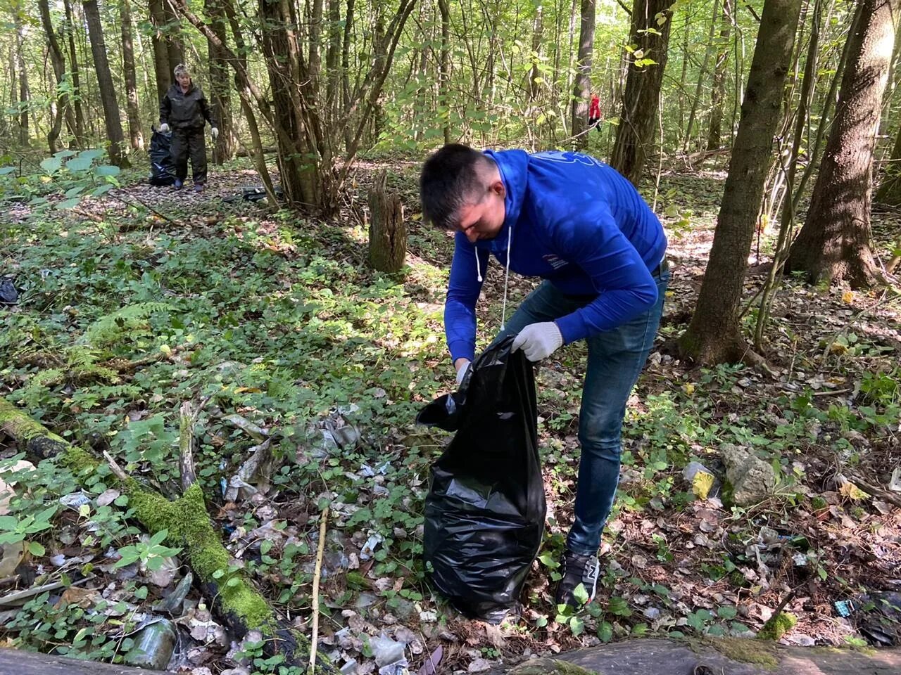 Акция чистый лес. Уборка леса. Уборка леса. Уборка в лесу. Субботник в лесу.