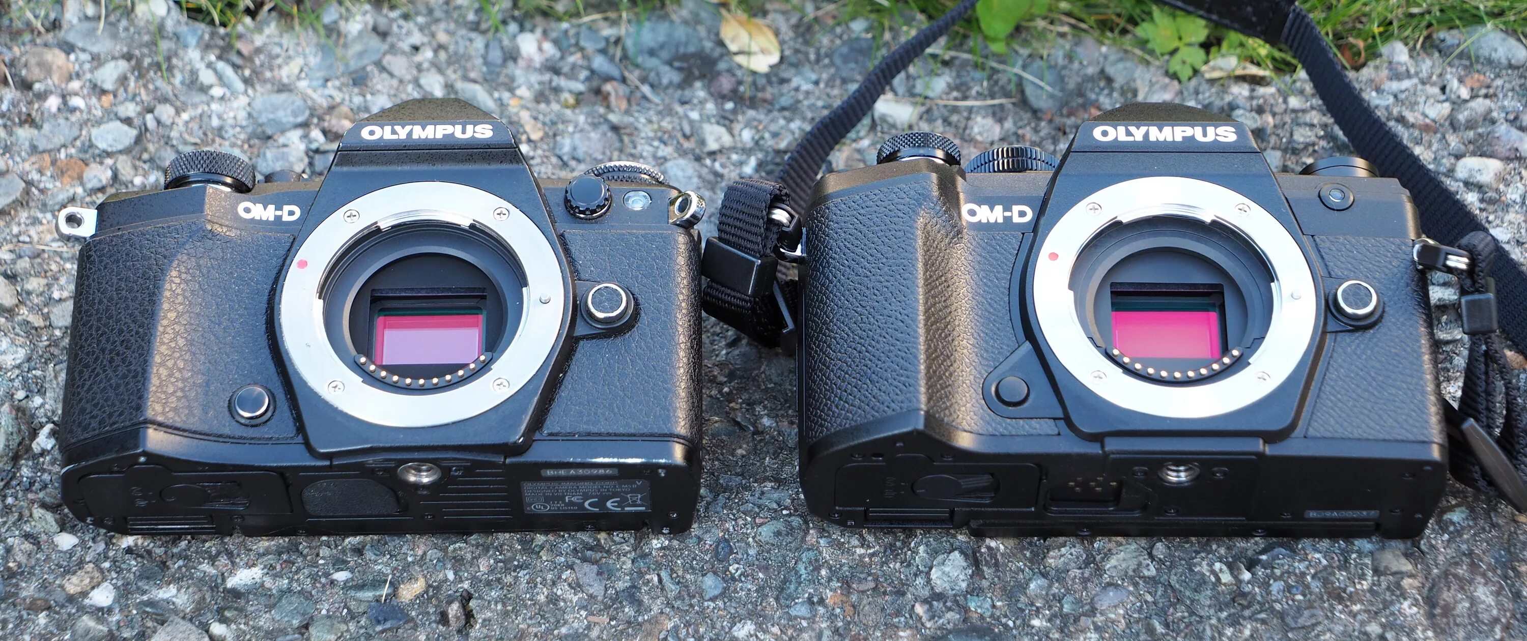 Mark 4 10. Olympus em5 mark 3. olympus om-d e-m5 ii. olympus om-d e-m5 mark iii body. olympus om-d e-m5 mark 2.