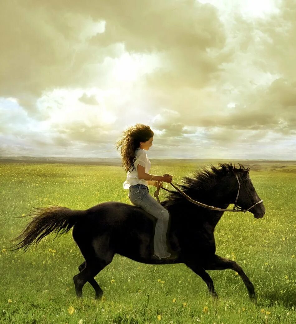 Флика 1. Фотосессия с лошадьми. Верхом на лошади. Девушка с лошадью.