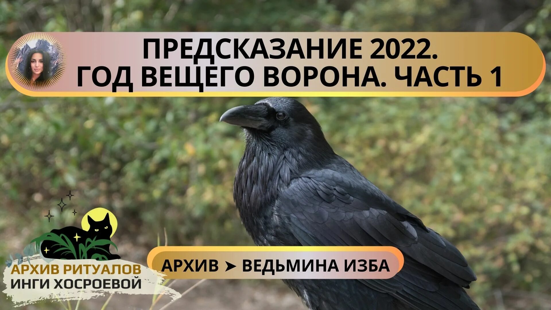 Предсказания на 2024 для россии индийской. ВЕДЬМИНА изба предсказания на 2022. ВЕДЬМИНА изба предсказания. День ворон.