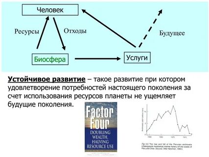 Устойчивое развитие биосферы