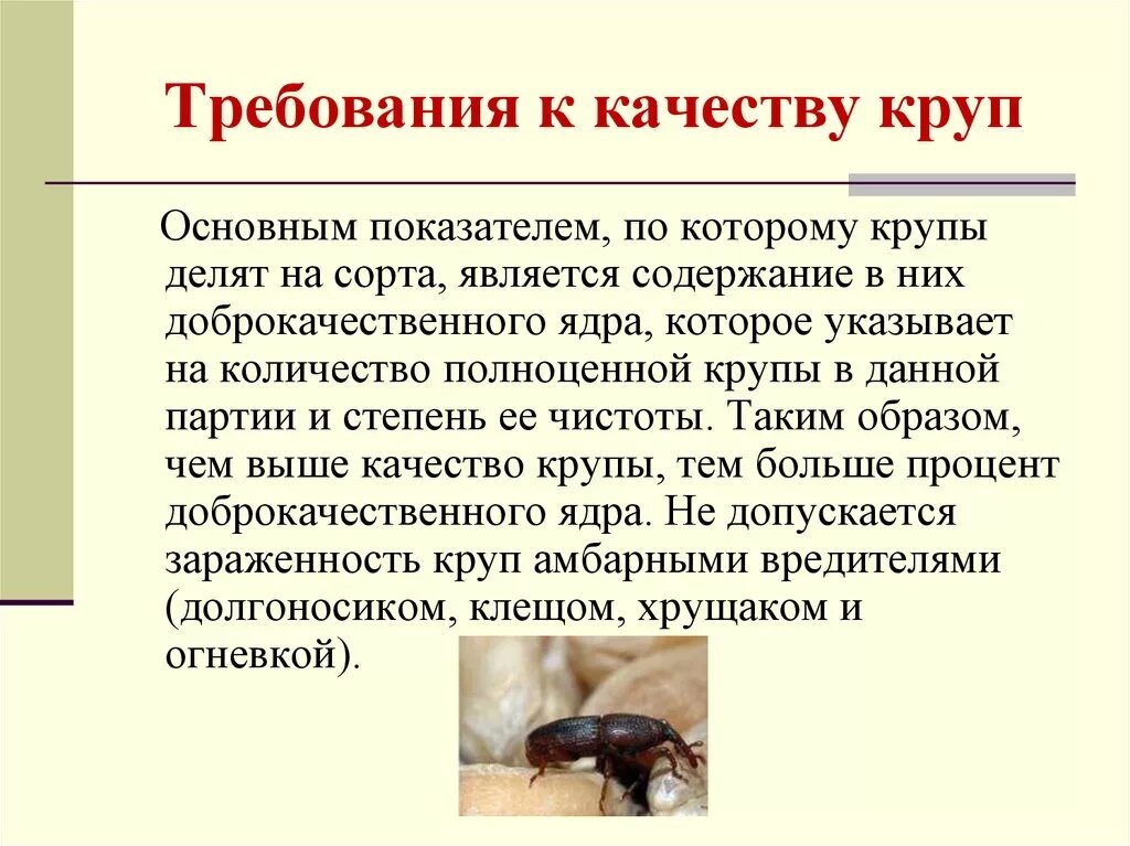 Оценка качества круп. Требования к качеству каш. Требования к качеству круп. Требования к качеству крупы. Требования к качеству круп таблица.