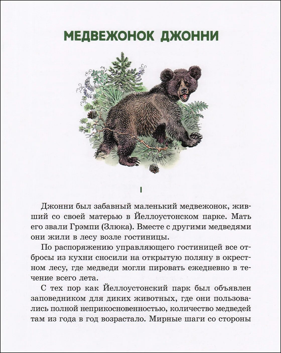 Медвежьи содержание