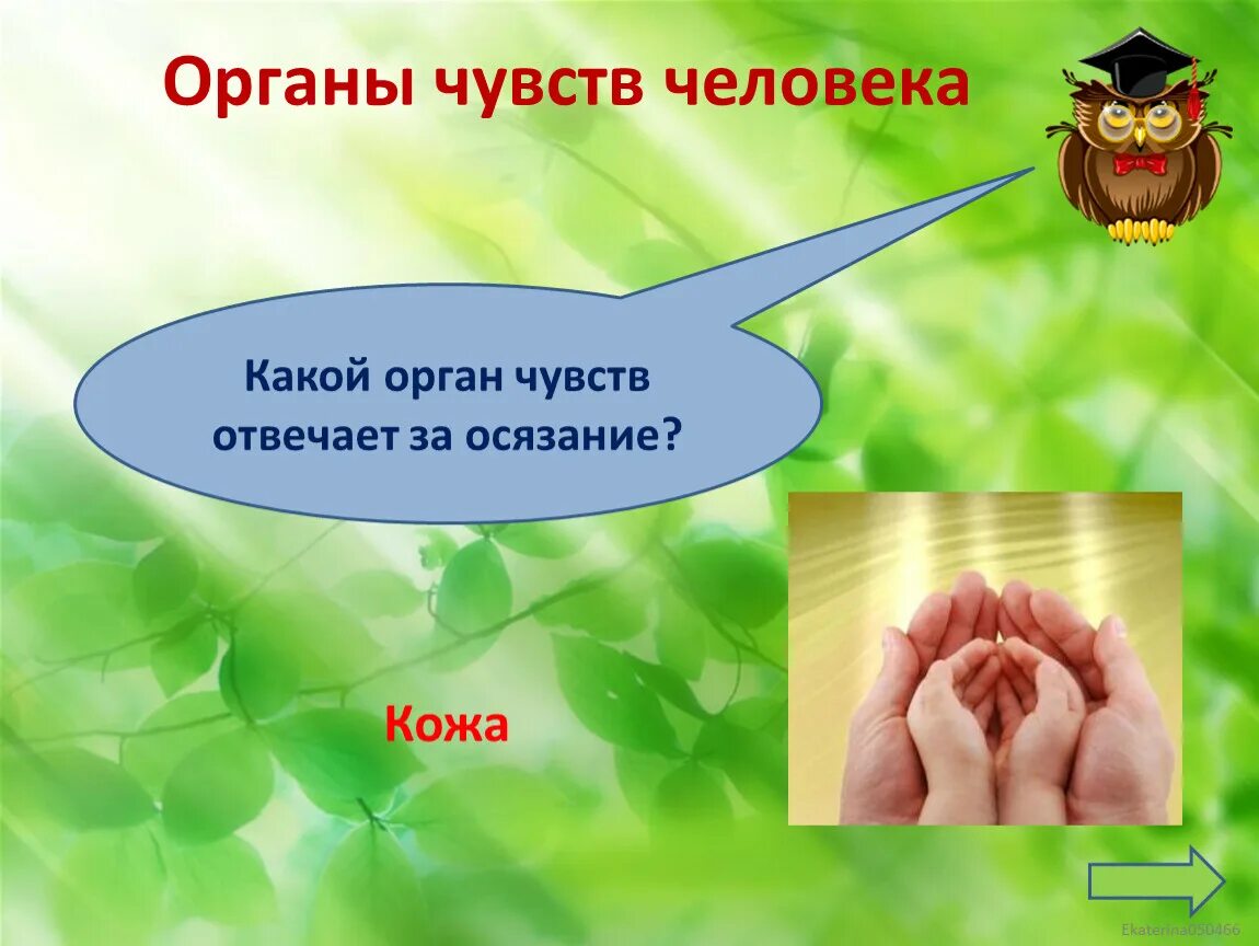 Ощущение ответить