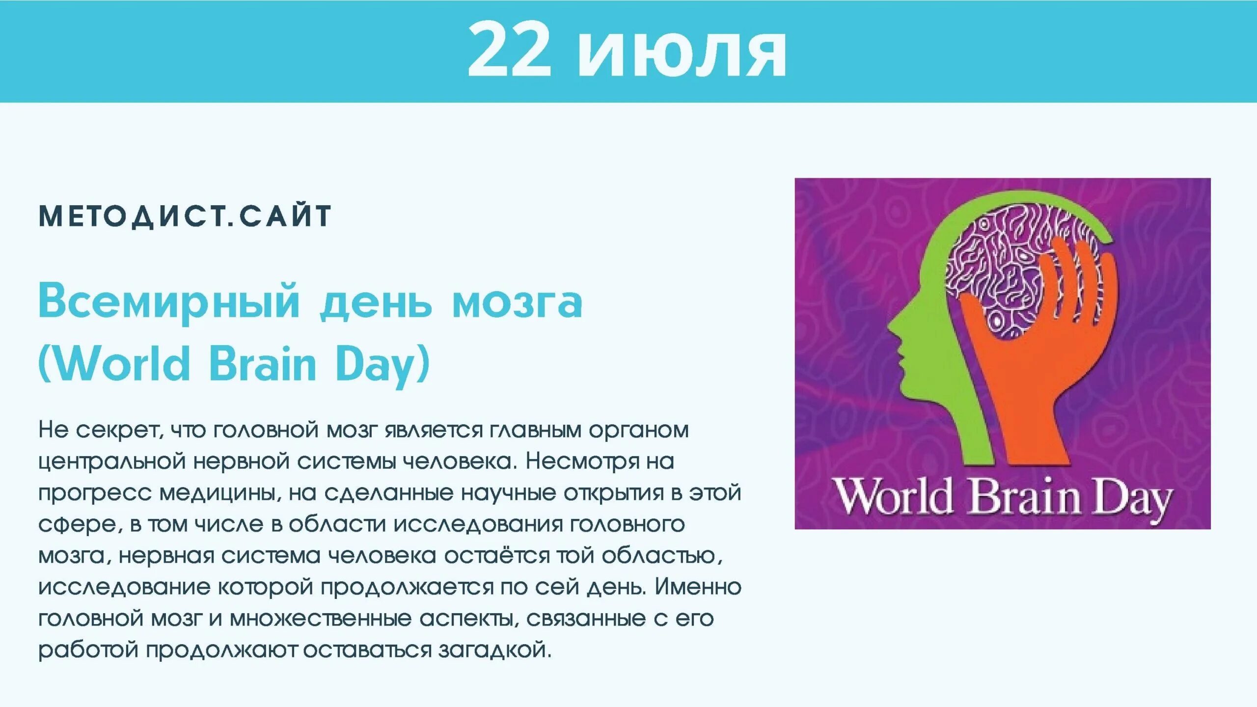 Brains day. Всемирный день мозга. 22 Июля Всемирный день мозга. Поздравление с днем мозга. Всемирный день мозга для детей.