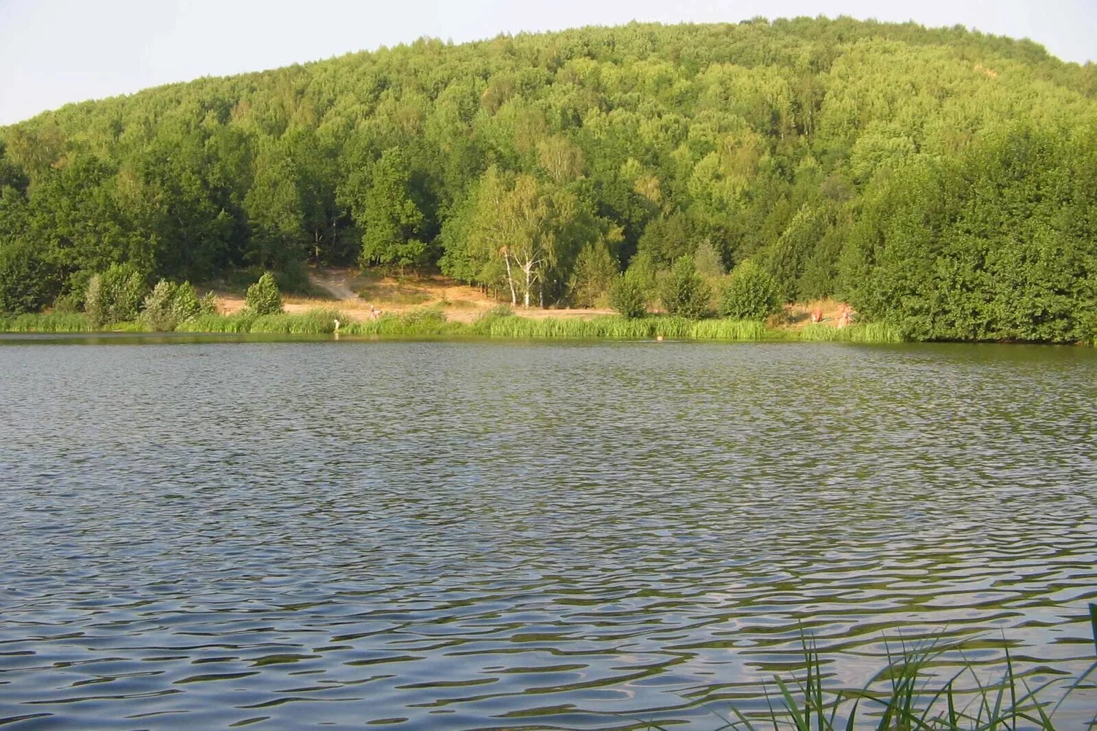 Пруд Мурань Кочкуровский район. МЕДАЕВСКИЙ пруд Мордовия. Мордовия Кочкуровский район село Мурань. Шишкеевский пруд Мордовия. Пруды мордовии