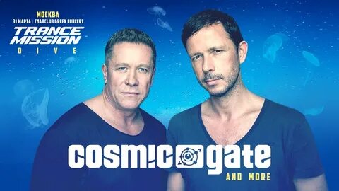 Cosmic gate exploration