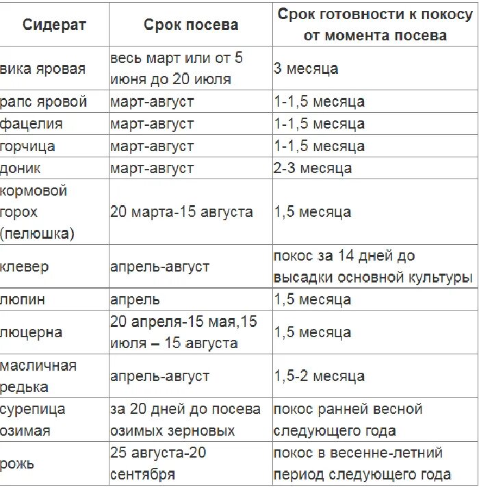 Какие сидераты сажать