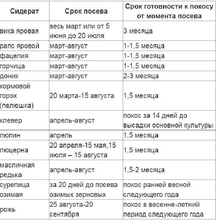 Сколько надо травы на сотку. Сроки посева сидератов таблица. Сидераты сроки посева. Сроки посева зерновых. Сроки посева растений.