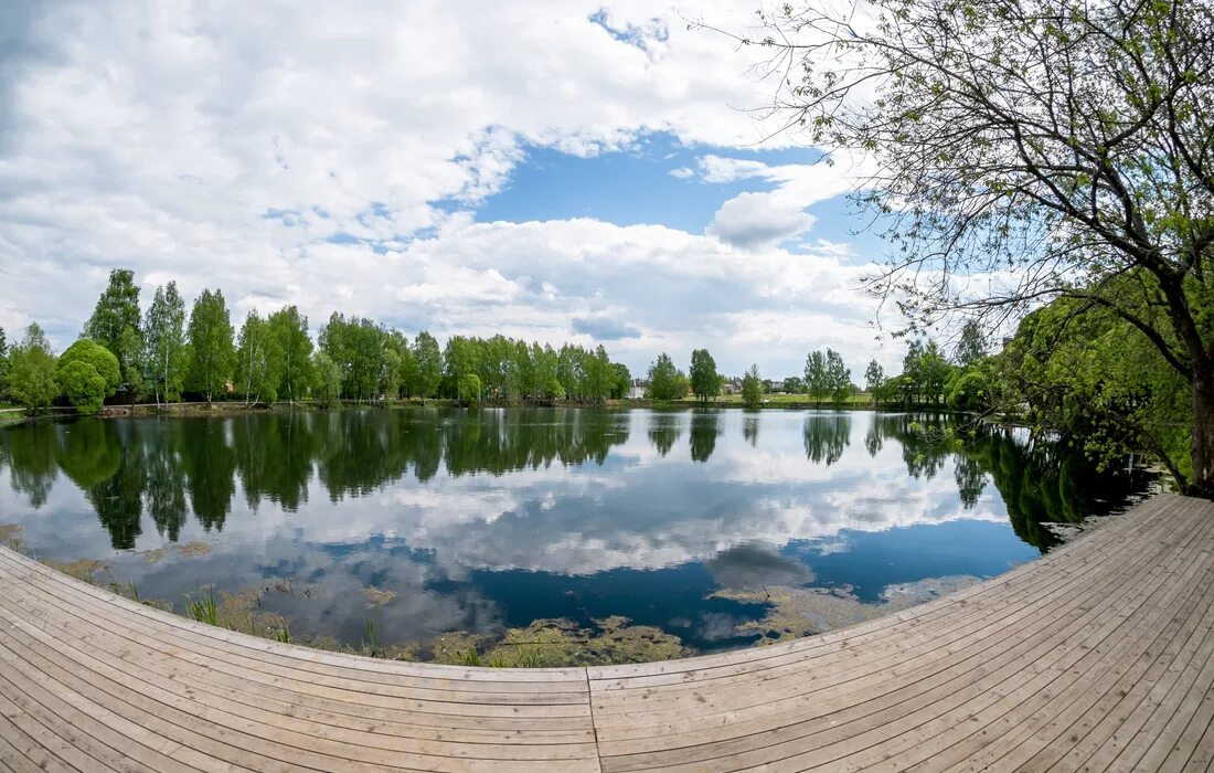 Общественный водоем. Парк верхний пруд плёс. Городской пруд. Новый пруд. Парк в Екатеринбурге около пруда.