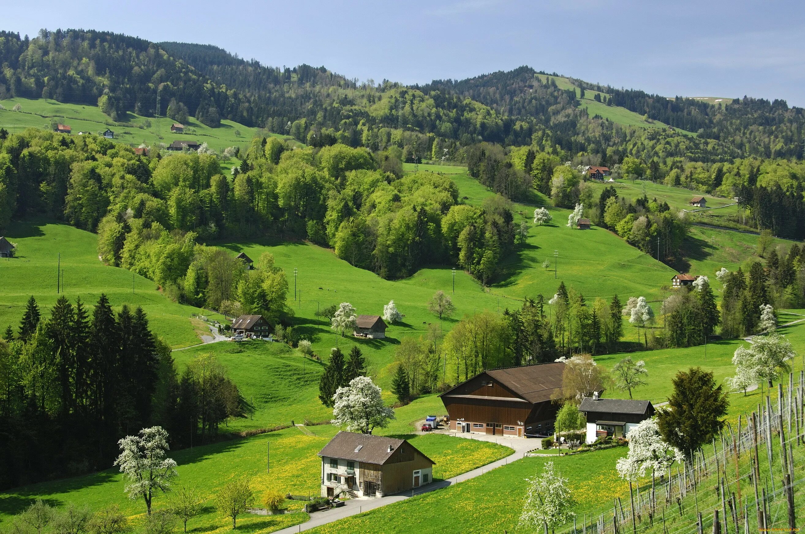 Natural view. Альпийские Луга Германии. Швейцария манзаралари. Швейцария холмы. Аппенцелль Швейцария.