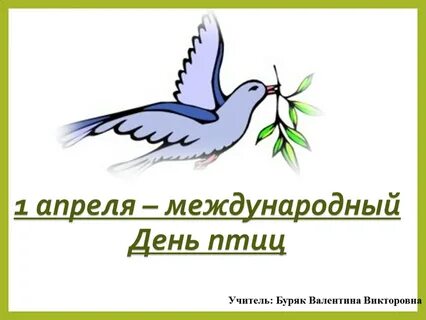 День птиц 2024