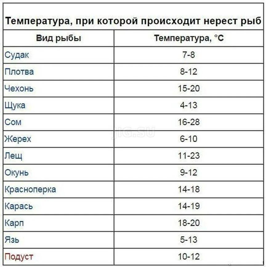 Когда нерестится лещ. Температура нереста рыбы таблица. Активность рыбы от температуры воды. Температура нереста рыбы. Нерест рыбы температура воды.