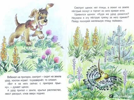 Кто написал стихотворение 1 охота