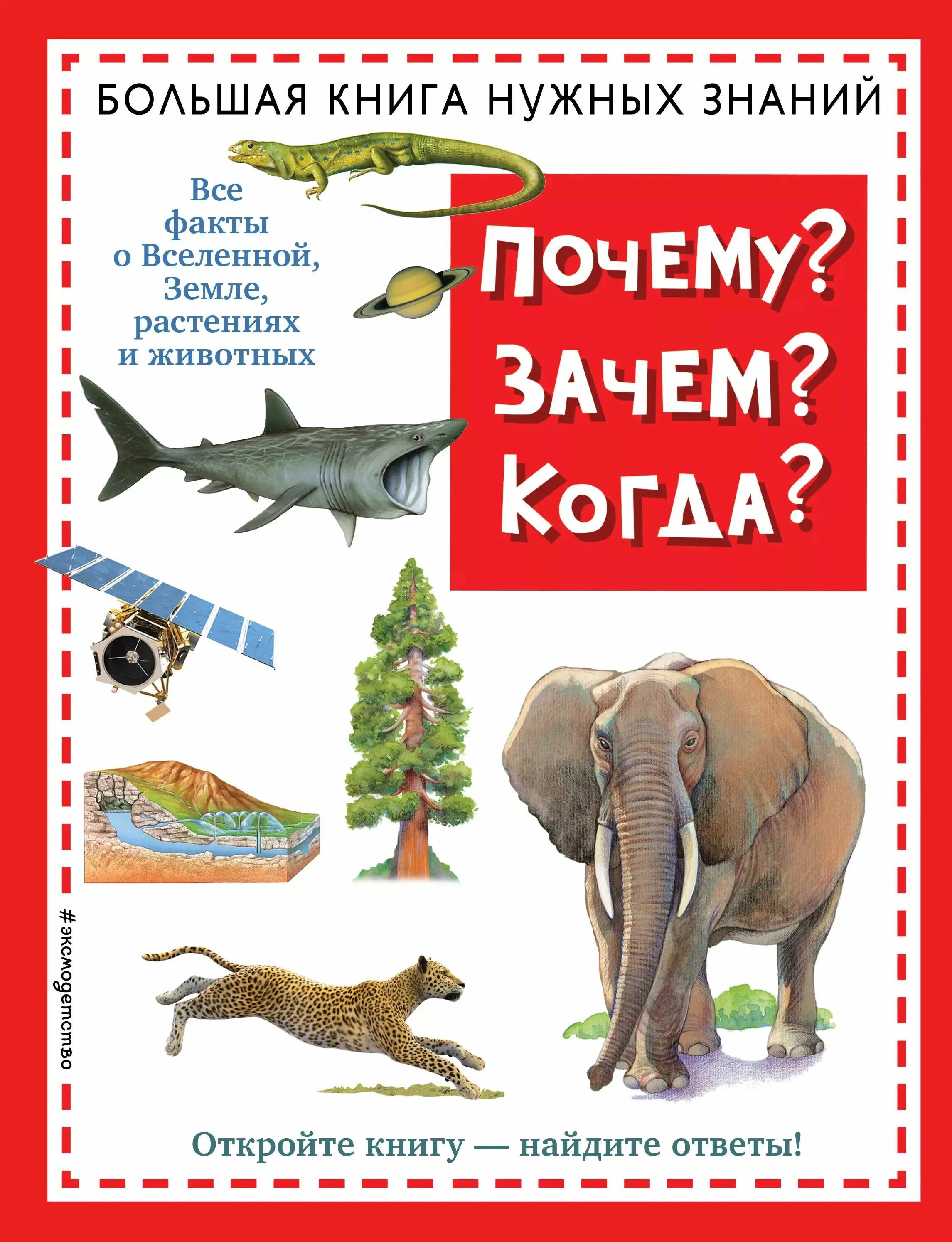 Когда и почему. Когда и почему