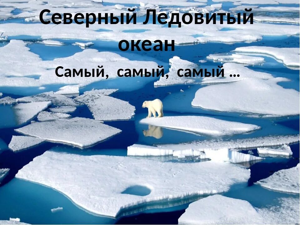 2 северный ледовитый океан. Презентация по Северному Ледовитому океану. Презентация по теме северно Ледовитый океан. Северный Ледовитый океан информация. Самый самый Северный Ледовитый океан.