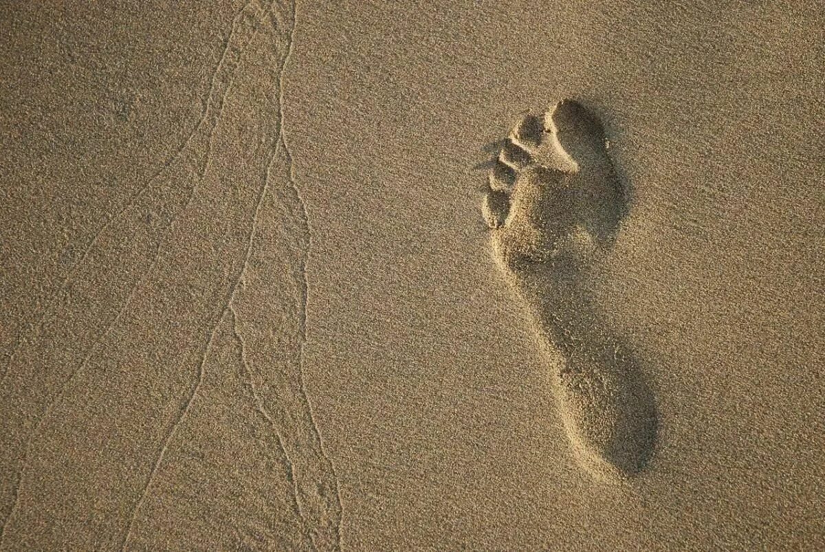След в истории. Отпечаток стопы на песке. Отпечаток ноги. Следы ног на песке. Слнды ногтчеловека на песке.