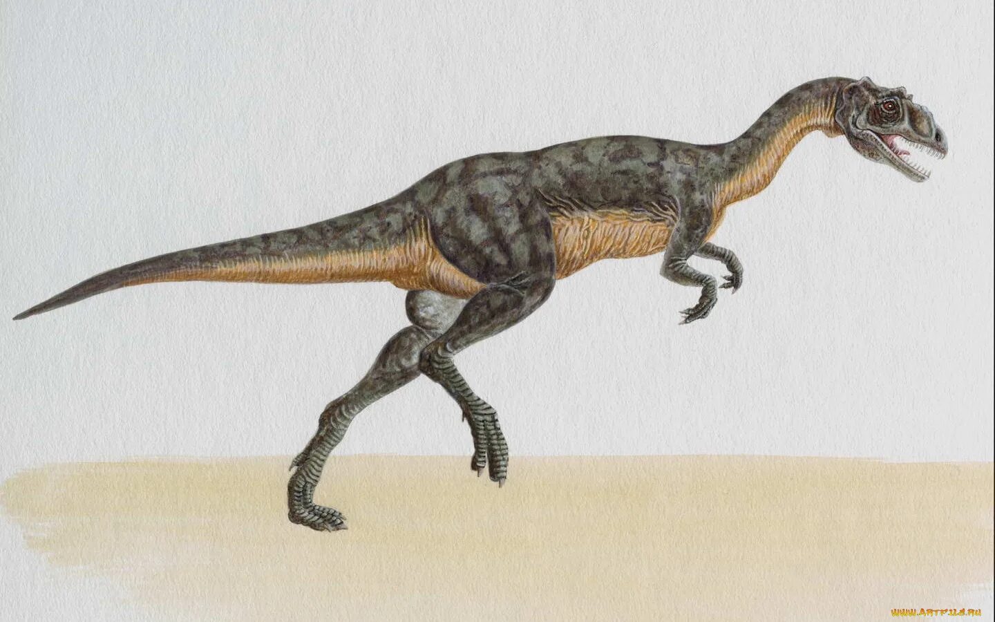 Как назывались маленькие динозавры. Дилофозавр референс. Абриктозавр Abrictosaurus. Динозавры хищники. Двуногие динозавры.