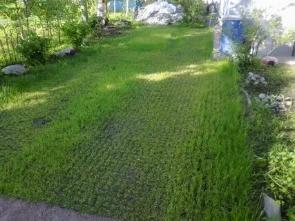 Участки пласт