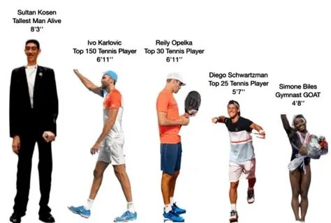 Player height