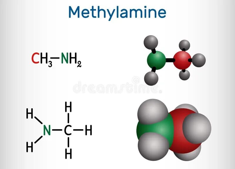 Метиламин это. Молекула метиламина. Модель молекулы метиламина. Метиламин формула.