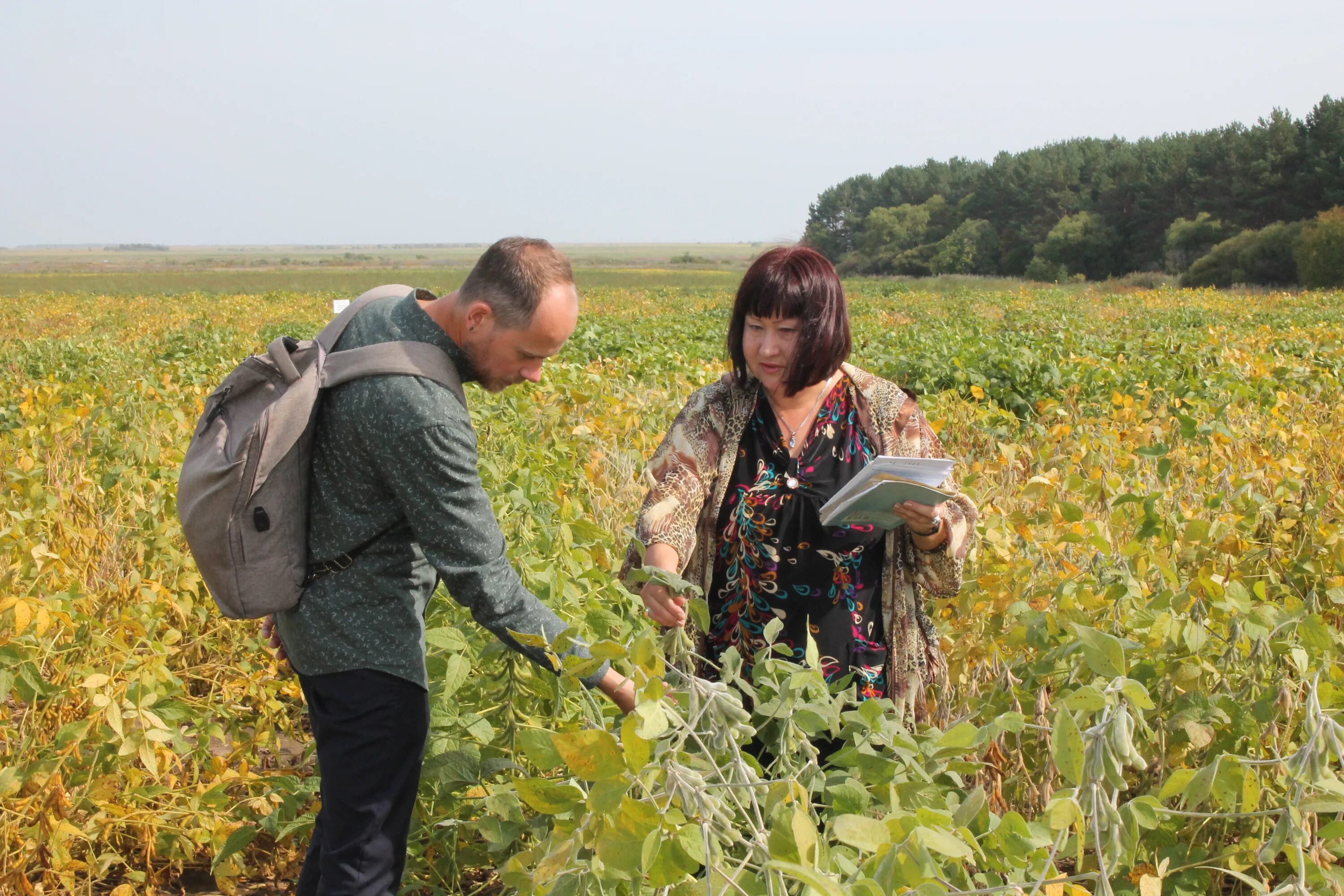 татагроэкспо 2023 фото. табак обыкновенный растение. внии сои. внии сои благовещенск официальный сайт. всероссийский институт растениеводства поля.