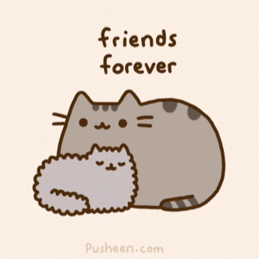 Феодор пушин. Пушин. кот пушин. котики pusheen. друзья пушина кота.