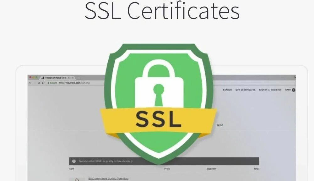 Ssl urls. SSL сертификат. ССЛ сертификат. SSL TLS. SSL сертификат пример.