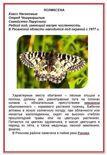Красную книгу Рязанской области хотят переиздать АиФ Рязань