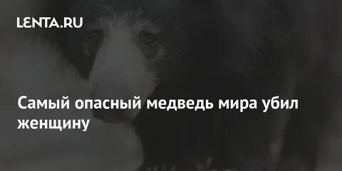 Печень медведя ядовита