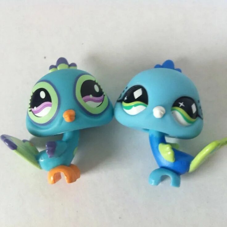 Ис пет. Little Pet shop Павлин. Littlest Pet shop птички. Little Pet shop лпс Павлин. LPS Littlest Petshop Павлин.