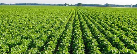 Farm solution