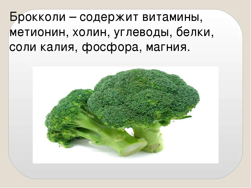 Брокколи вареная калорийность на 100. Строение капусты брокколи. Брокколи витамины. Брокколи для презентации. Что содержится в брокколи.