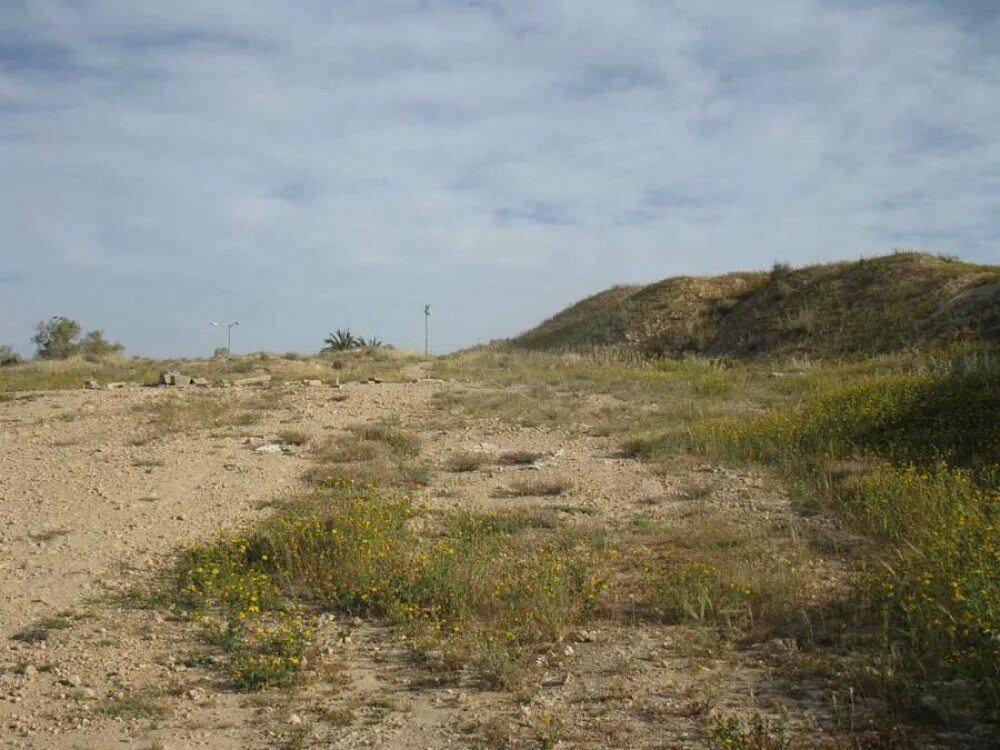 пустырь воронеж. фотография пустыря. пустырь в городе. пустырь в городе. пустырь.